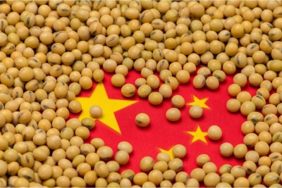 China imported 71.65 million tonnes of soybeans in the first eight months of this year, up 17.9 percent from a year earlier